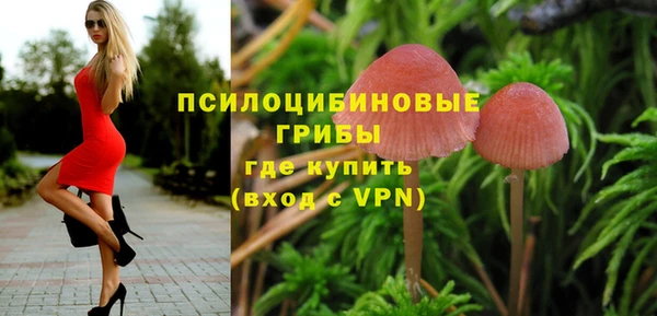 бутират Алзамай