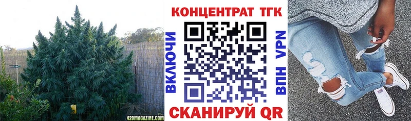 ТГК Wax  Чайковский 