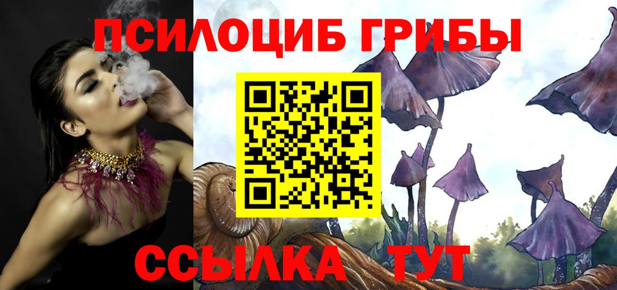 Галлюциногенные грибы прущие грибы  Вход с VPN  купить наркотики сайты  Чайковский 